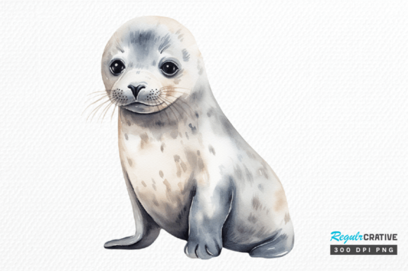 Download Watercolor Baby Seal Clipart Png Design - Premium Resources